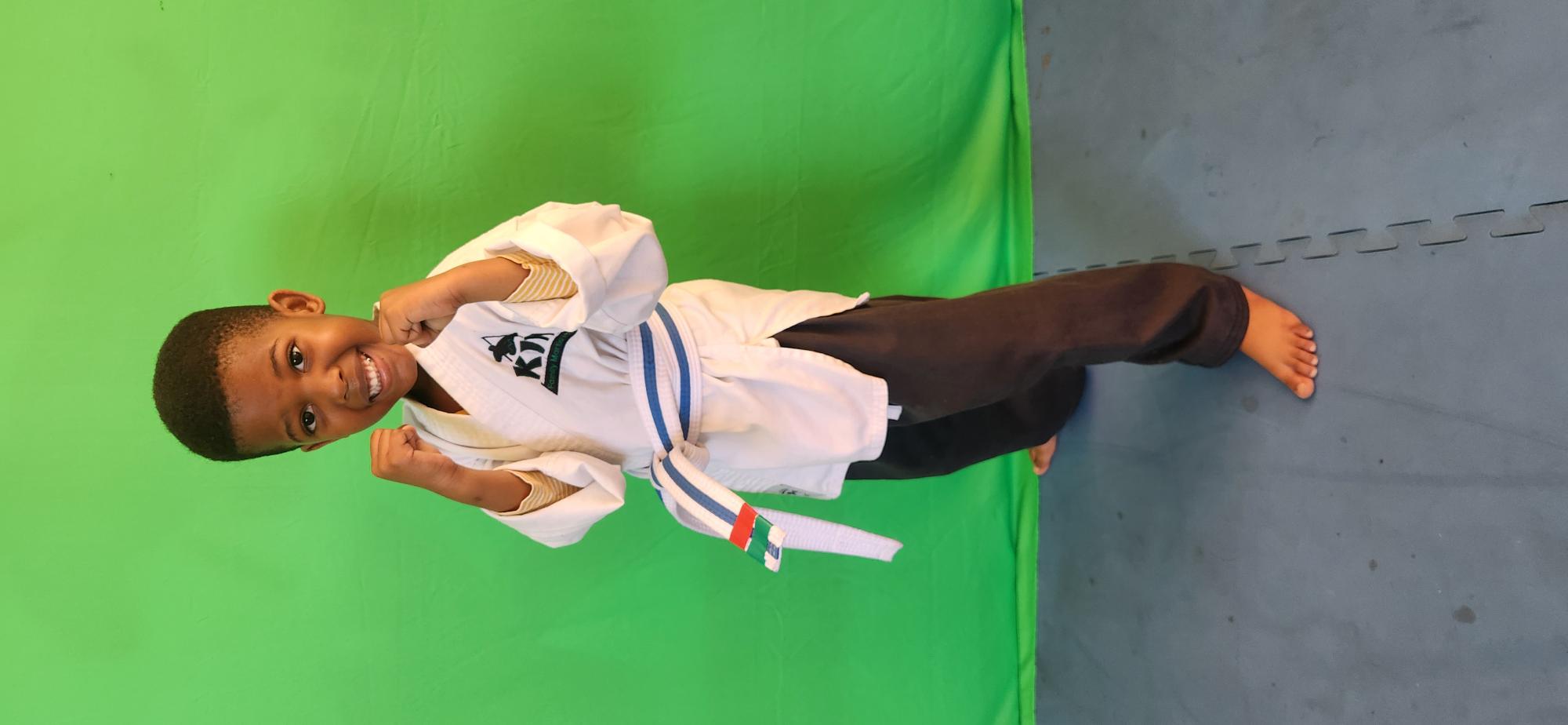 Martial arts student training